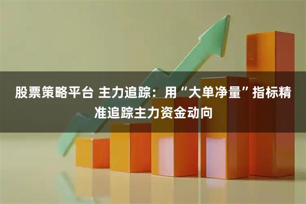 股票策略平台 主力追踪:用“大单净量”指标精准追踪主力资金动向