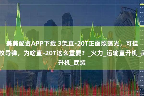 美美配资APP下载 3架直-20T正面照曝光，可挂16枚导弹，为啥直-20T这么重要？_火力_运输直升机_武装
