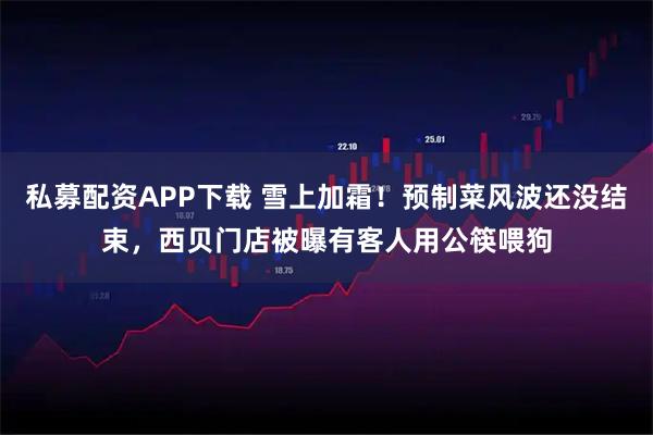 私募配资APP下载 雪上加霜！预制菜风波还没结束，西贝门店被曝有客人用公筷喂狗