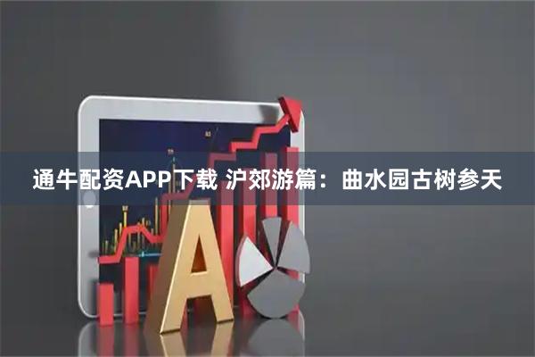 通牛配资APP下载 沪郊游篇：曲水园古树参天